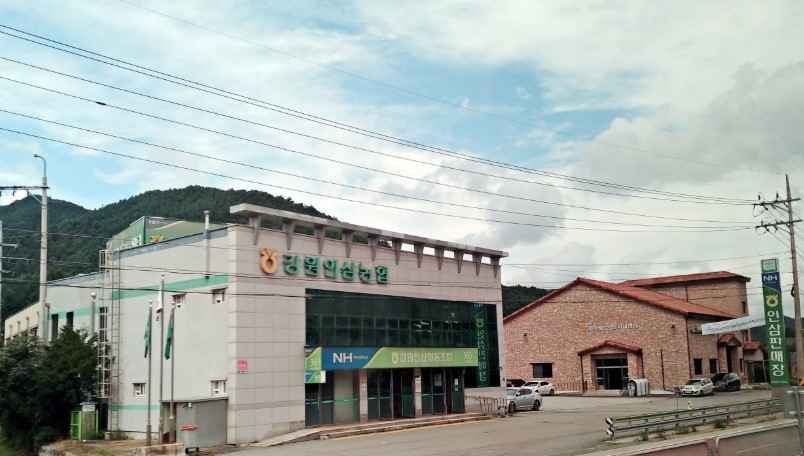 강원인삼농협