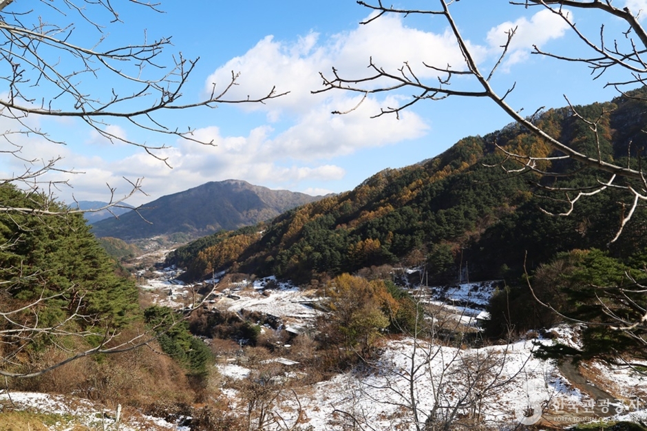 국립 지리산자연휴양림