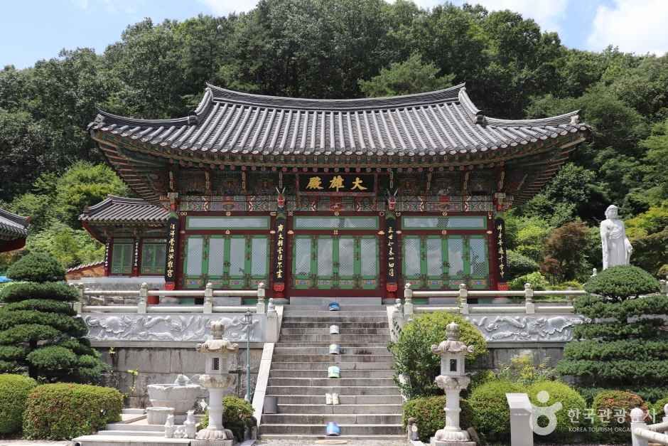 세종 가볼만한 곳 학림사(세종)