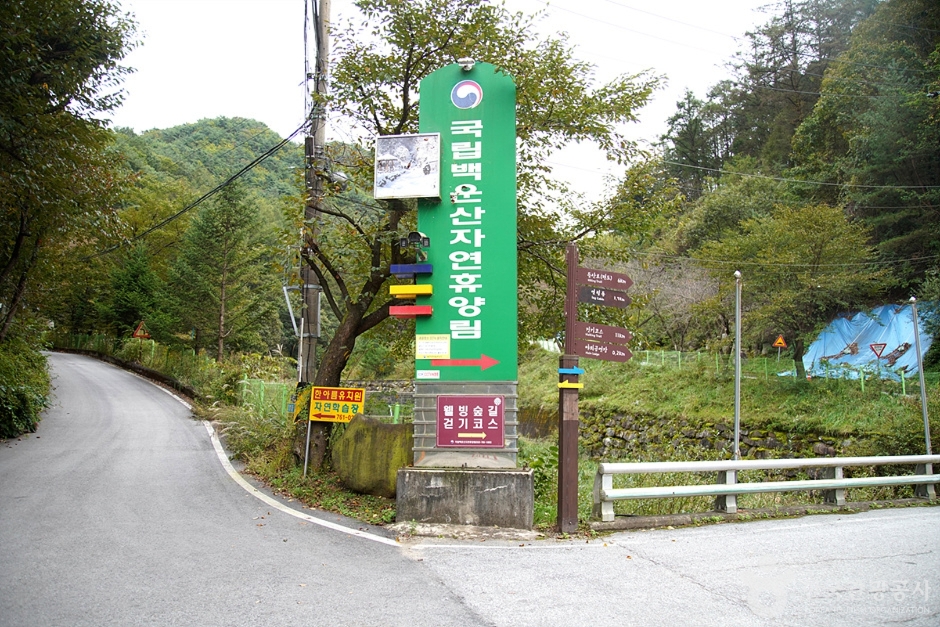 국립 백운산자연휴양림(원주)
