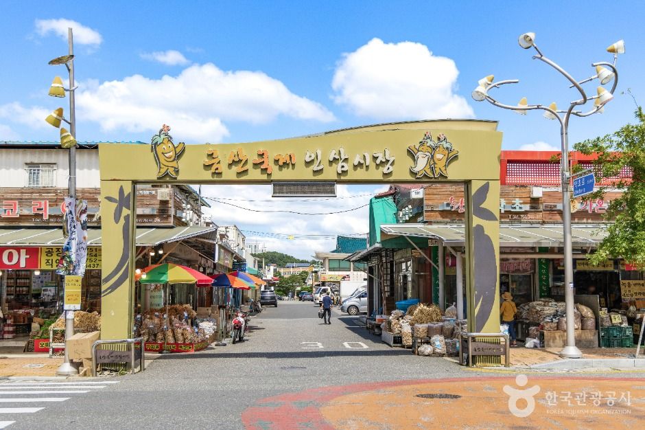 충남 쇼핑 명소 금산국제인삼시장