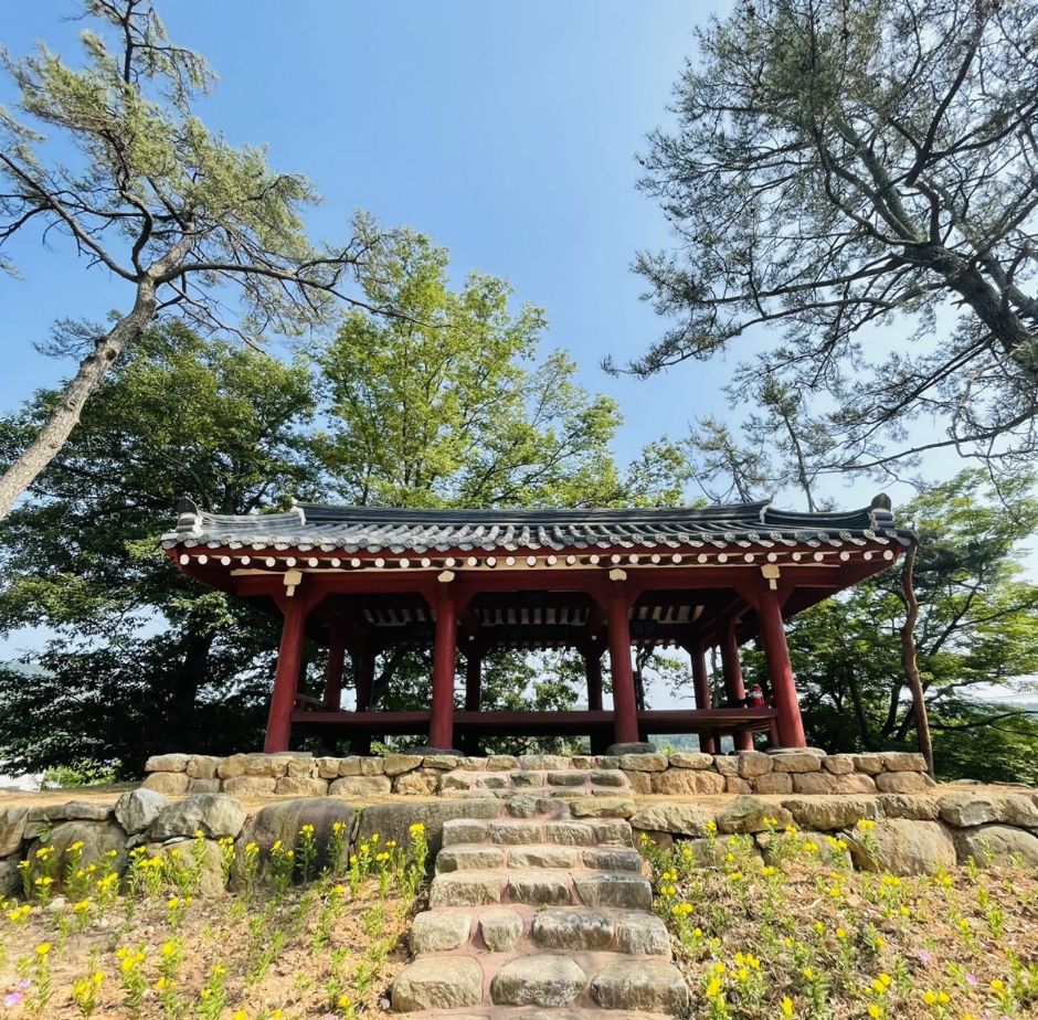 광주 가볼만한 곳 양과동정