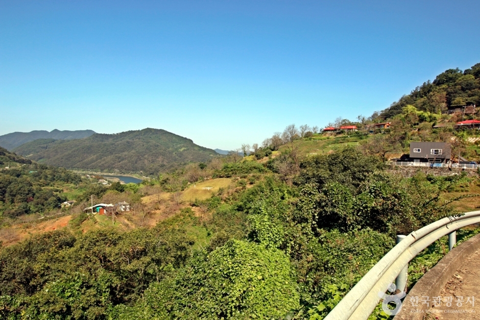 충북 가볼만한 곳 높은벌