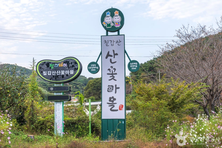 칠갑산산꽃마을
