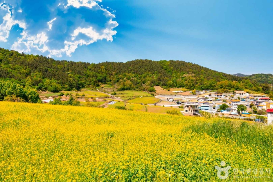 선학동 마을