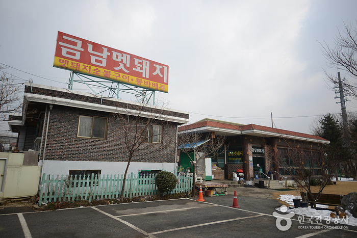 금남멧돼지
