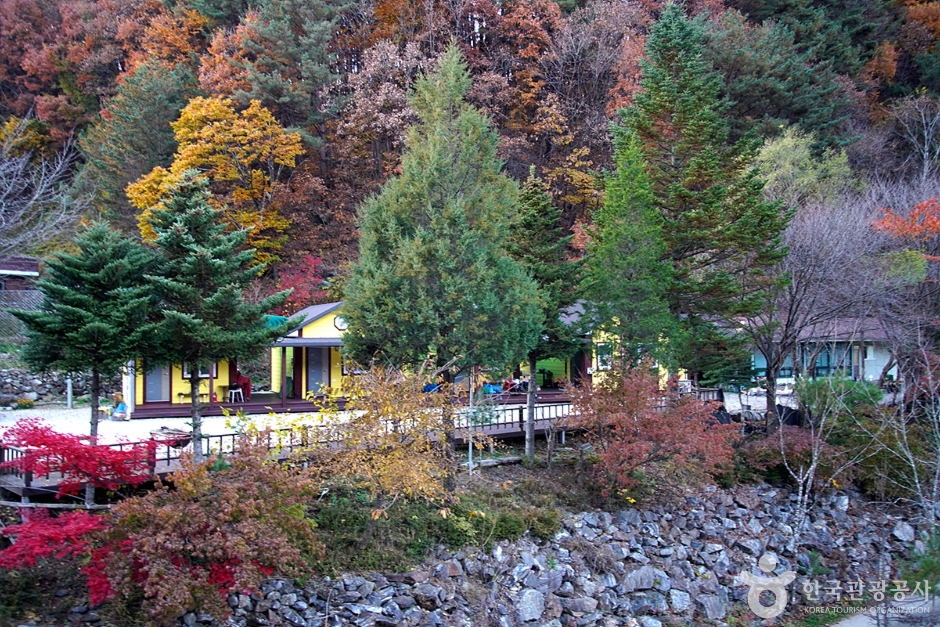 홍천 살둔마을