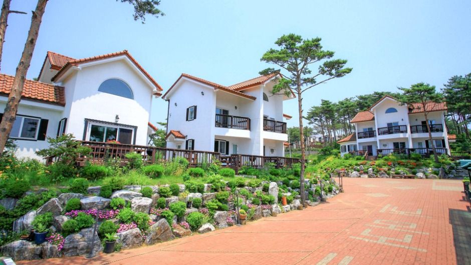 충남 숙소 안면도 지중해펜션