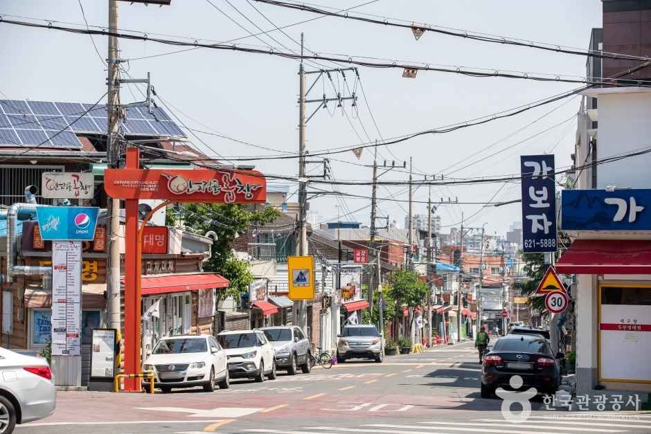 대구 가볼만한 곳 안지랑 곱창골목