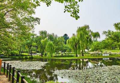 서울 가볼만한 곳 용산가족공원
