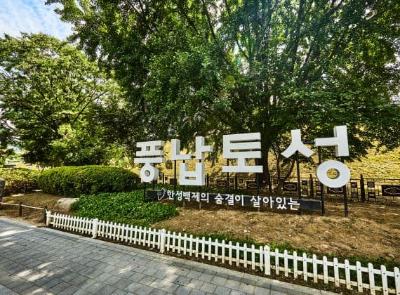 풍납토성