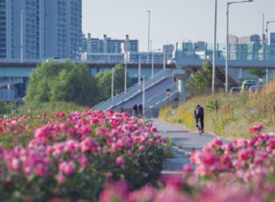 서울 가볼만한 곳 중랑천 제방