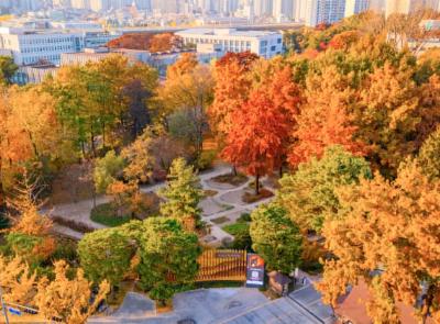 서울 가볼만한 곳 홍릉시험림(홍릉숲)