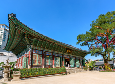조계사