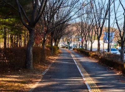 가을단풍길(월드컵로)