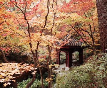 석파정 서울미술관