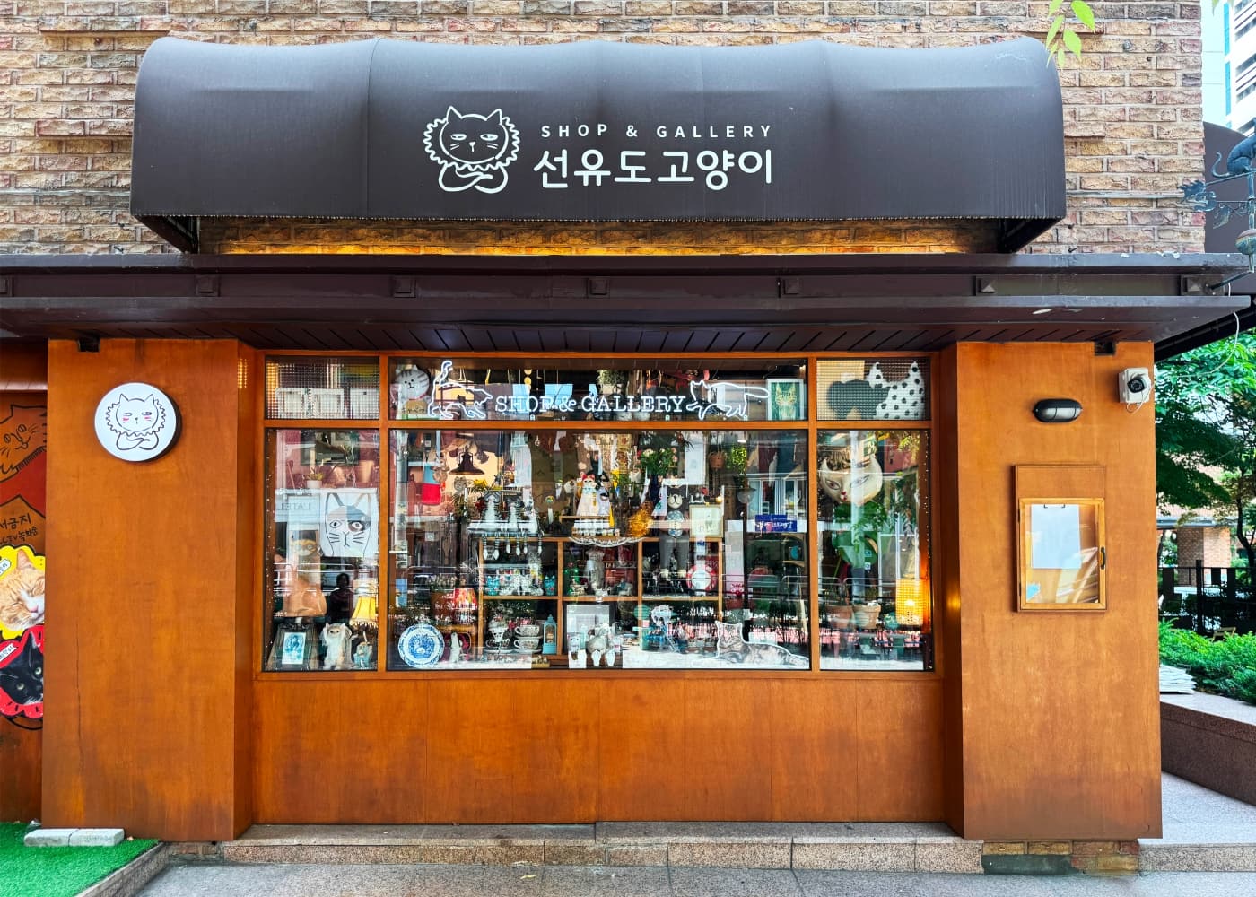 선유도 고양이
