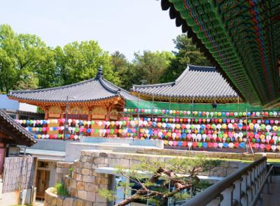 달마사